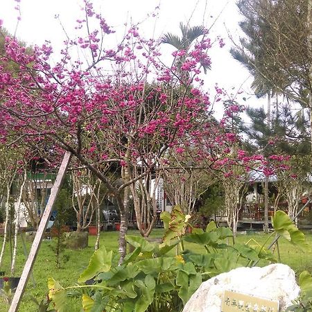 לינה וארוחת בוקר יוצ'י Sun Moon Lake Wild Flower מראה חיצוני תמונה