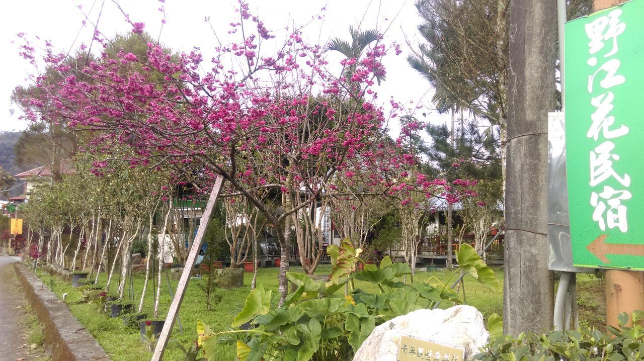 לינה וארוחת בוקר יוצ'י Sun Moon Lake Wild Flower מראה חיצוני תמונה